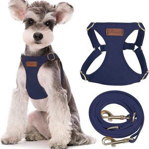 Puppytie Leash and Harness, No Pull Dog Harness with Multifunction Dog Leash (M)